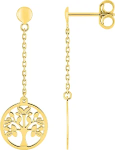Boucles d'oreilles pendantes Bo.pendentif or 750/1000 jaune