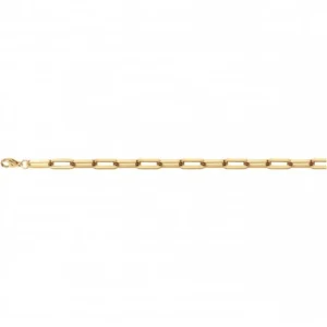 Bracelet phebus acier ipg 21,5cm