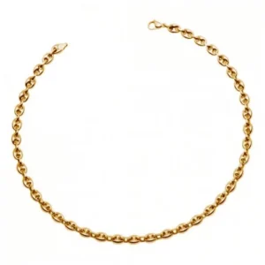 Collier phebus grain cafe acier ipg 55cm jaune
