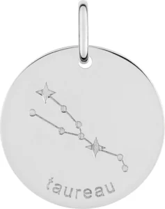 Pendentif zodiaque ag925 rh taureau argent gris