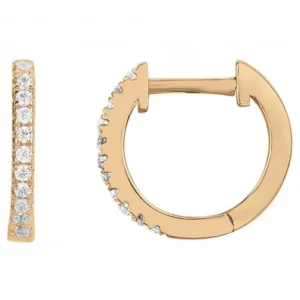 Boucles d'oreilles plaqué or avec 22 oxydes de zirconium
