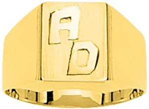 Chevalière taille 62 en or 750/1000 jaune